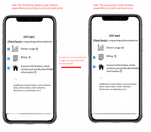 Detailed Handling of Energy Usage Selection During the Authorization Process